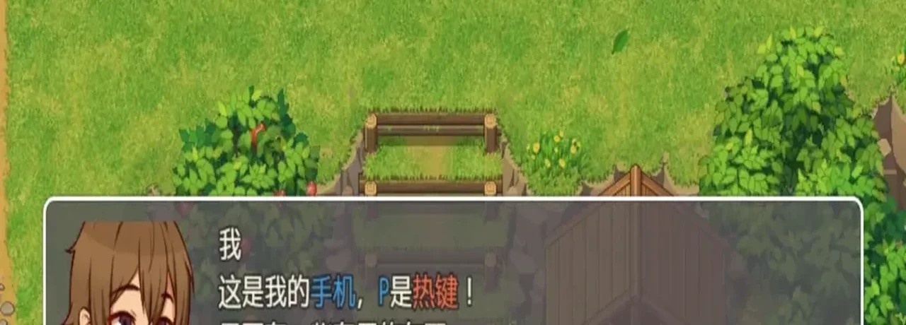 游戏对话框显示手机功能与 P 键快捷键提示